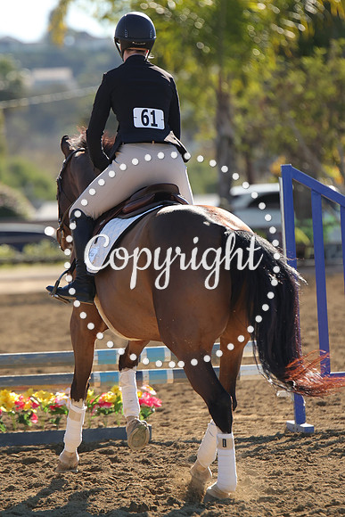 IMG_2705CRD1