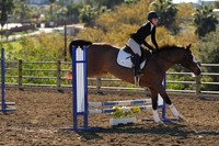 IMG_2699CRD1
