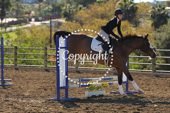IMG_2699CRD1