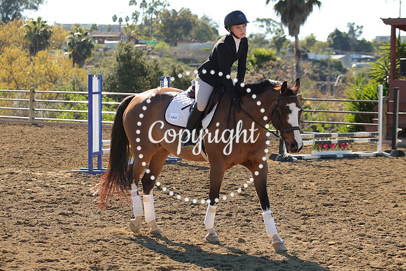 IMG_2722CRD1