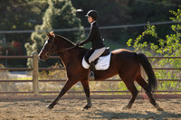 IMG_4917CRD2