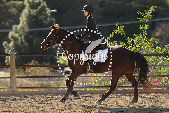 IMG_4914CRD2