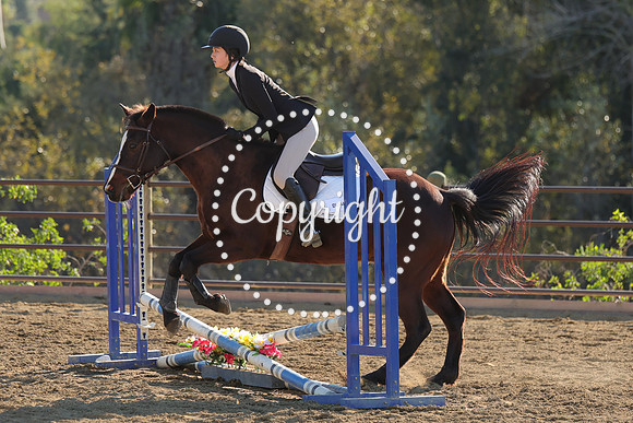 IMG_4926CRD2