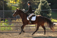 IMG_4919CRD2