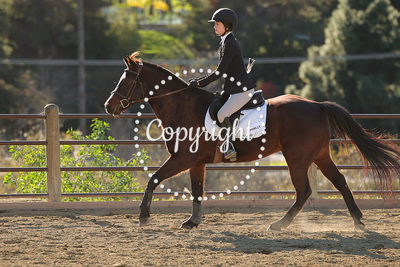 IMG_4921CRD2