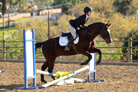 IMG_4941CRD2