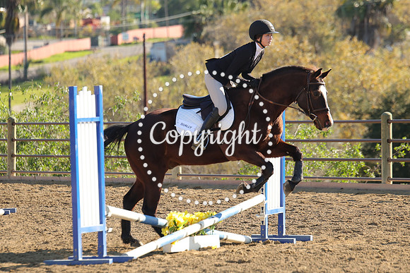 IMG_4941CRD2