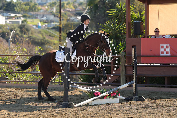 IMG_4931CRD2