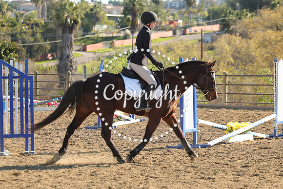 IMG_4946CRD2