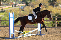 IMG_4942CRD2