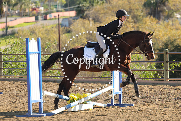 IMG_4942CRD2
