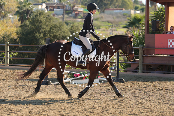 IMG_4953CRD2