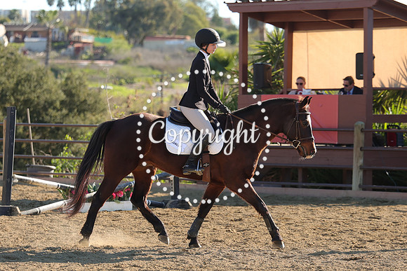 IMG_4959CRD2