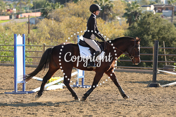 IMG_4948CRD2