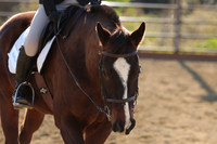 IMG_4964CRD2