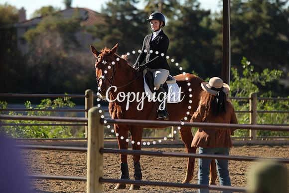 IMG_4972CRD2