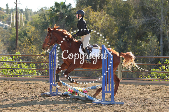 IMG_4979CRD2