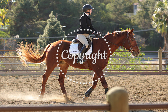 IMG_4976CRD2