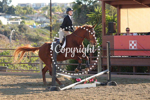 IMG_4985CRD2