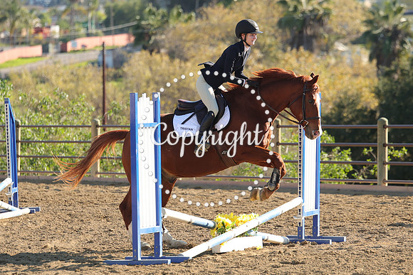 IMG_5024CRD2