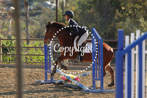 IMG_5102CRD2