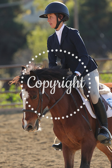 IMG_5115CRD2