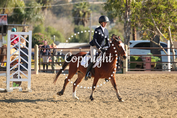 IMG_5116CRD2