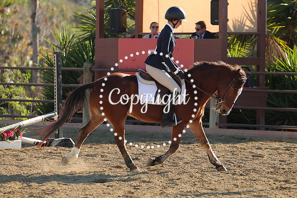 IMG_5130CRD2