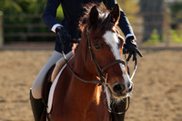 IMG_5144CRD2