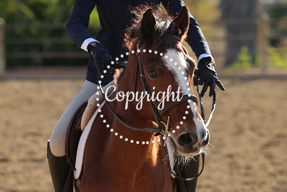 IMG_5144CRD2