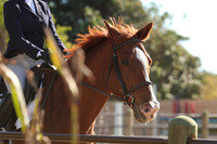IMG_4697CRD2