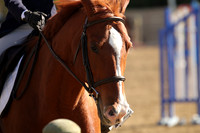 IMG_4702CRD2