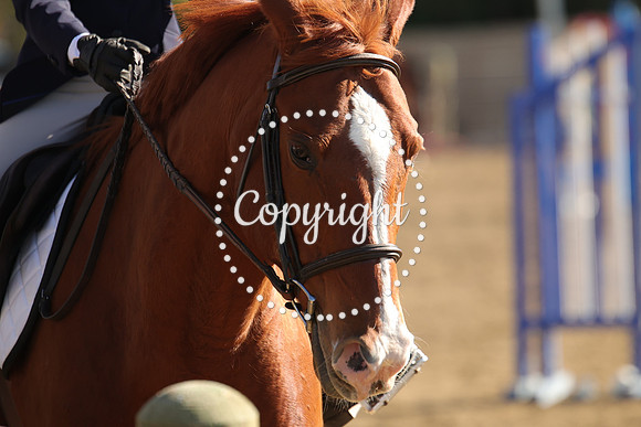 IMG_4702CRD2