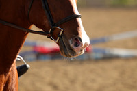 IMG_4704CRD2