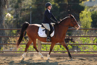 IMG_4709CRD2