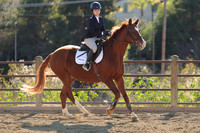 IMG_4740CRD2