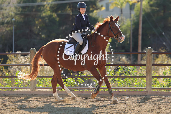 IMG_4740CRD2