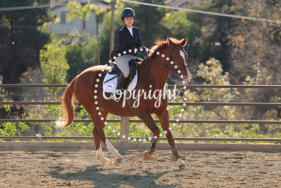 IMG_4741CRD2
