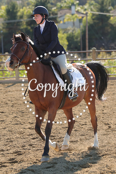 IMG_4749CRD2