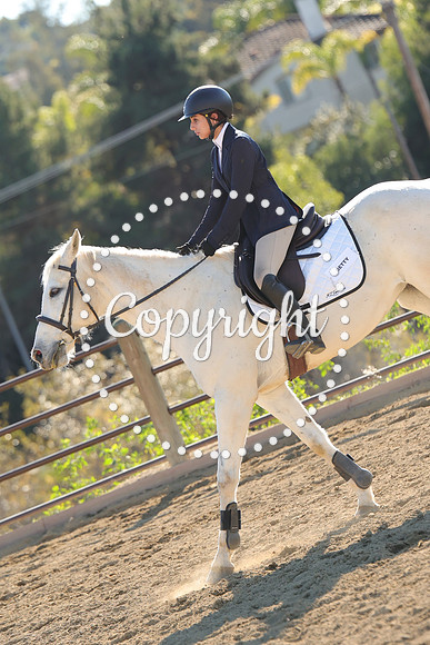 IMG_4781CRD2