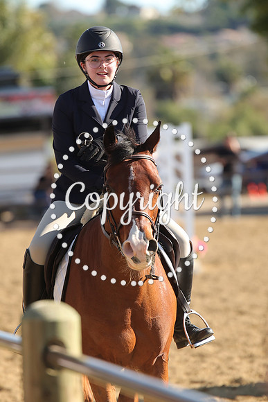 IMG_4794CRD2