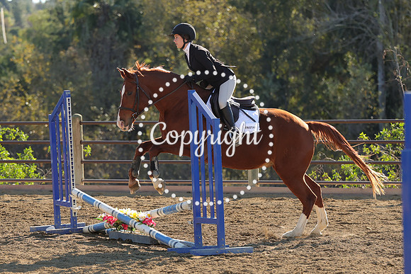 IMG_4863CRD2