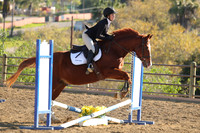 IMG_4879CRD2