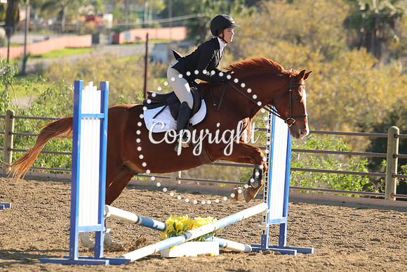 IMG_4879CRD2