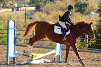 IMG_4883CRD2