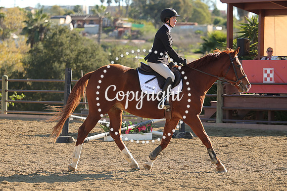IMG_4906CRD2