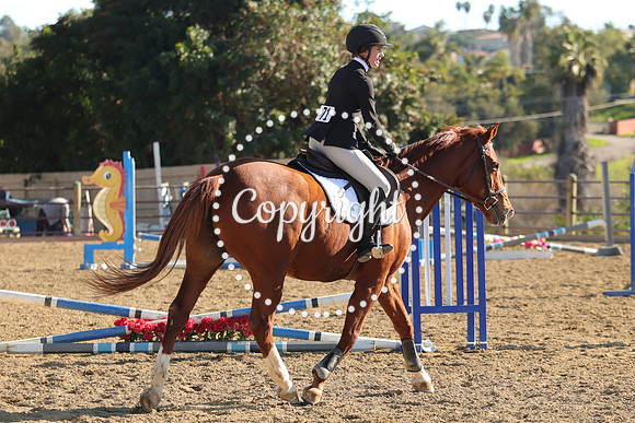 IMG_4884CRD2