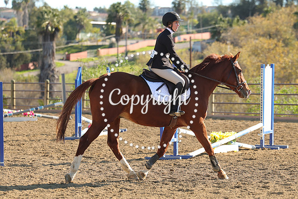 IMG_4892CRD2