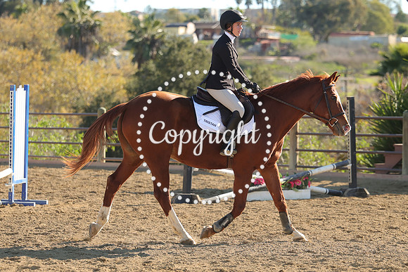 IMG_4899CRD2