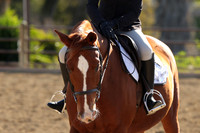IMG_4910CRD2